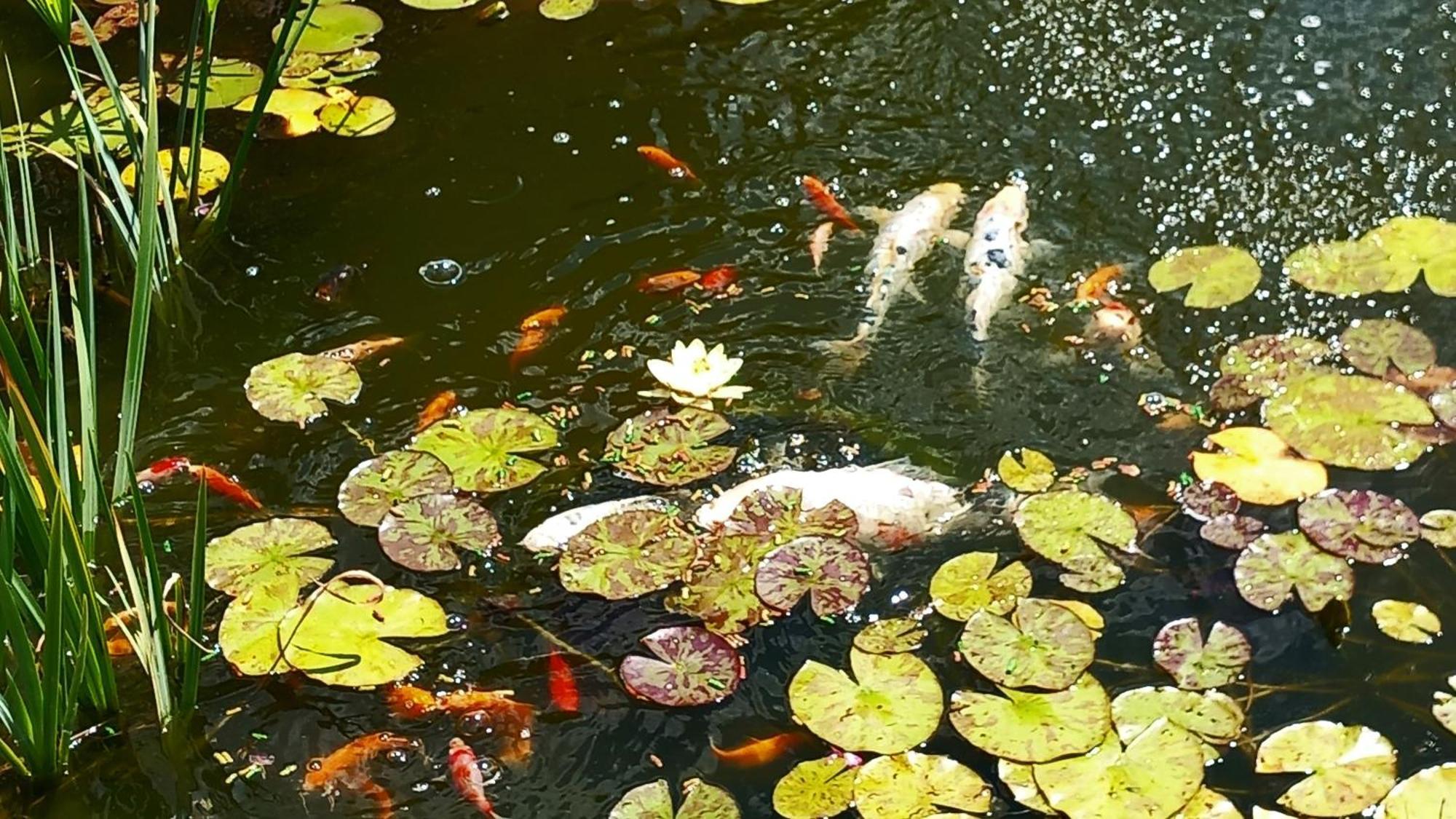 Cercy-la-Tour Chez Marie Bed & Breakfast エクステリア 写真